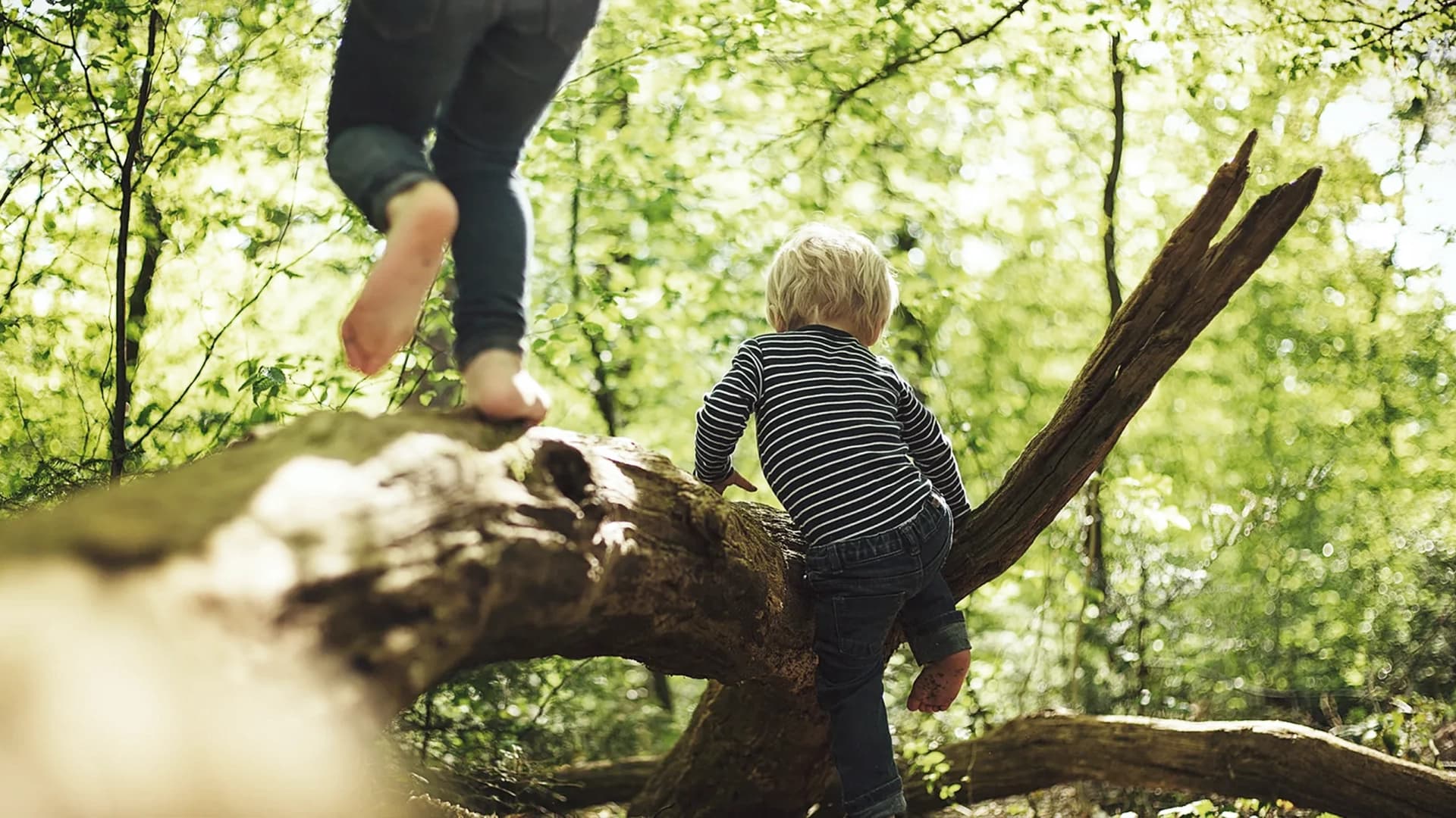 Kleine Kinder klettern barfuß in einem sonnenbeschienenen Wald auf einen Baum und symbolisieren so die Verbindung zur Natur.