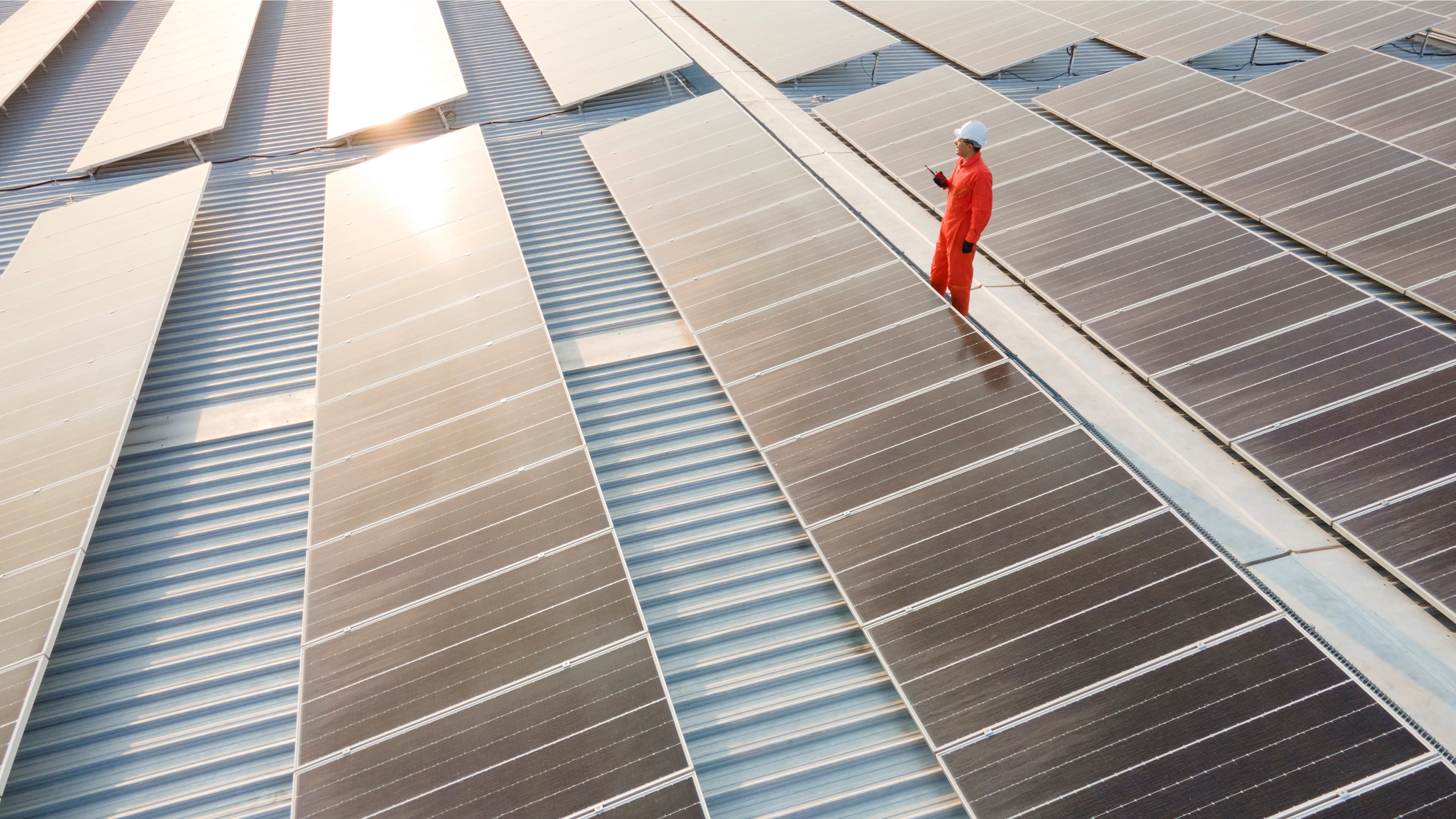 Man in a solar panel field