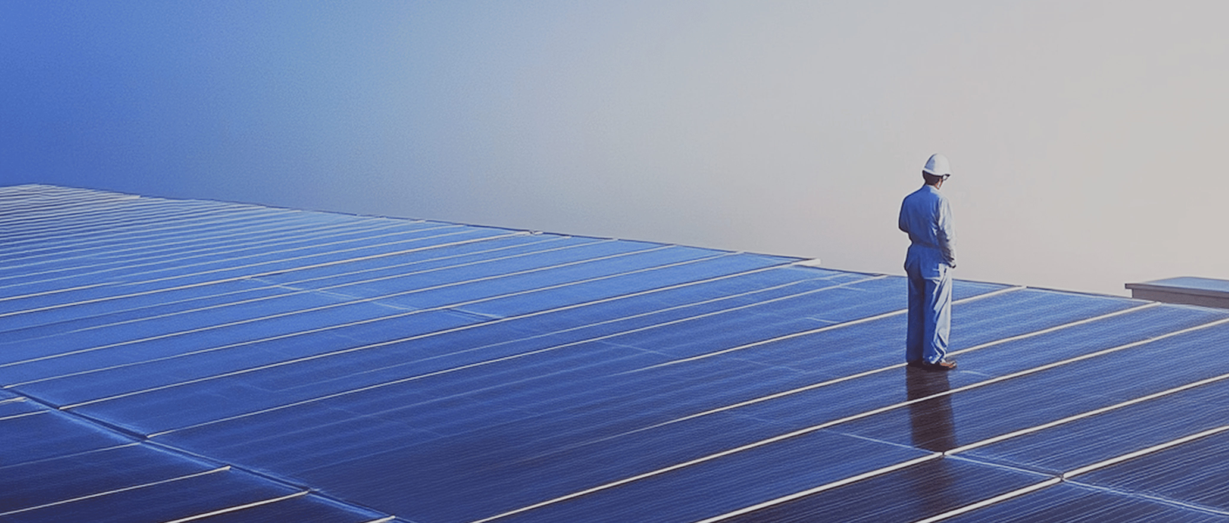 Mann steht in einem Feld mit Solarzellen